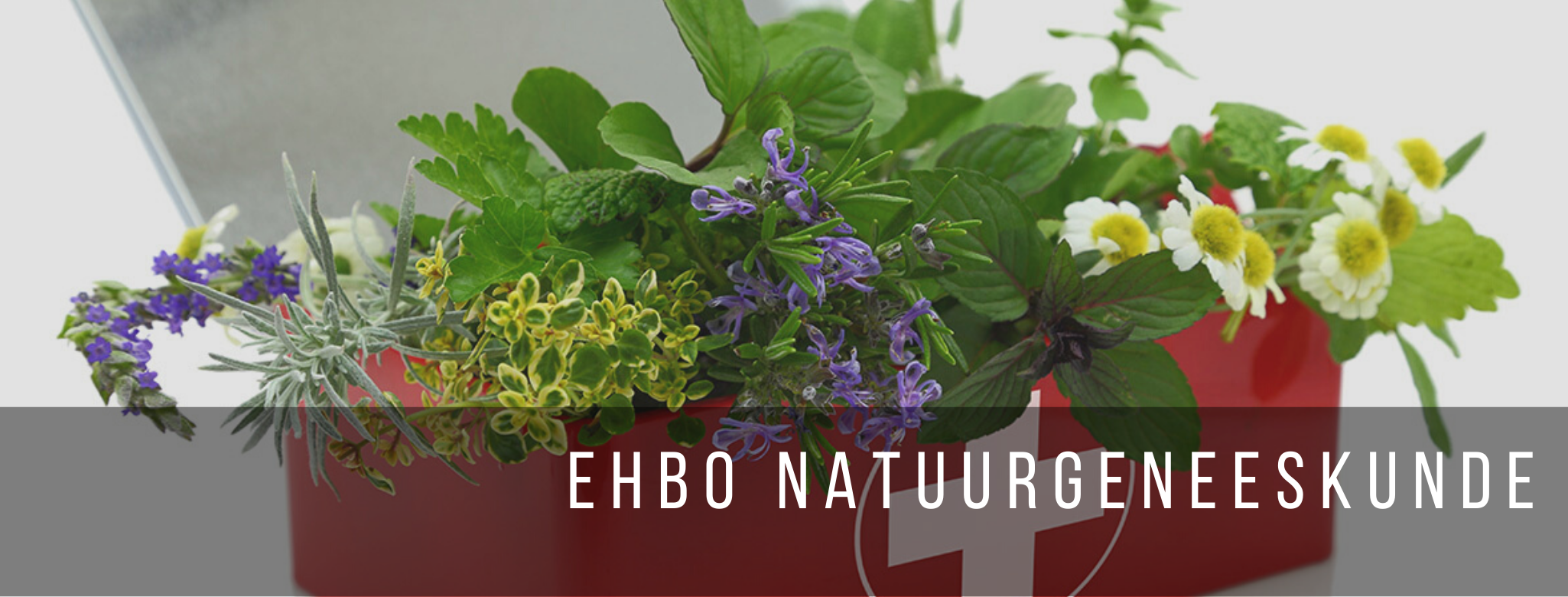 Header EHBO natuurgeneeskunde